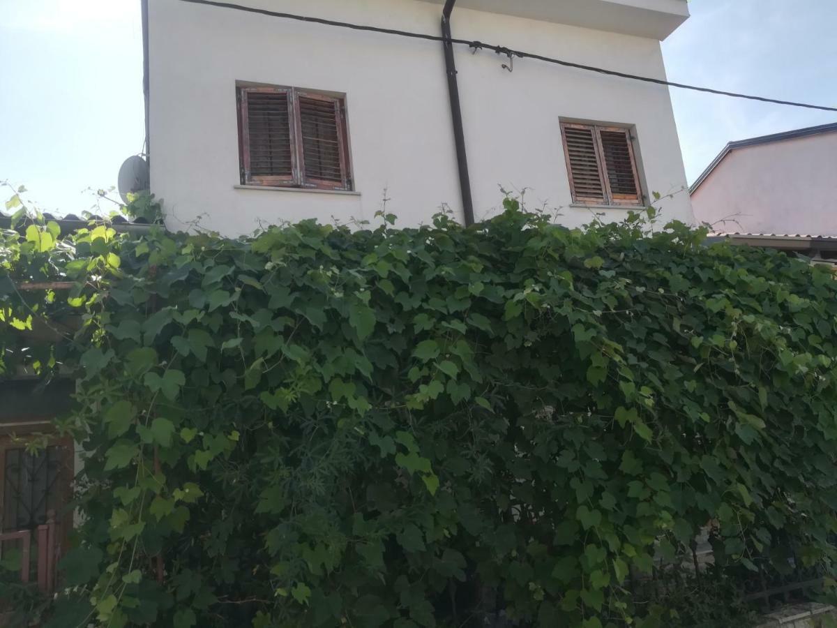 Apartma Zalka Izola Exteriör bild